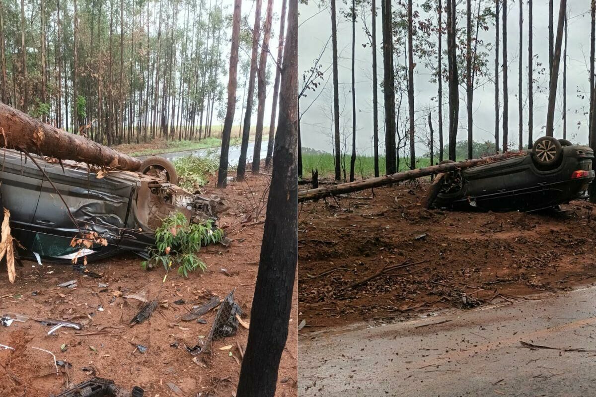 Imagem de compartilhamento para o artigo Carro sai da pista, derruba árvore e capota em estrada vicinal de Costa Rica da MS Todo dia